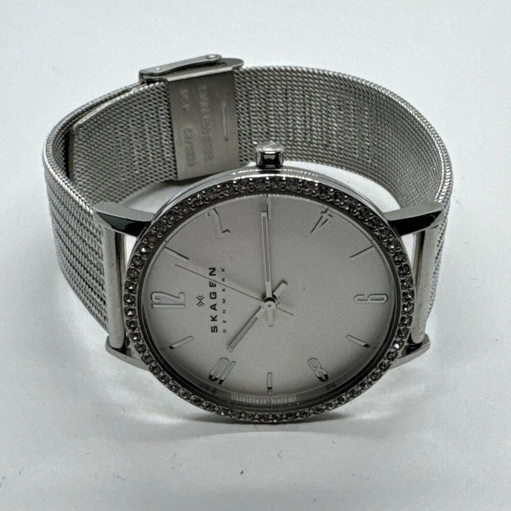 Skagen Denmark SKW2284 Women's Silver Stainless Steel Mesh Analog Watch AEA283